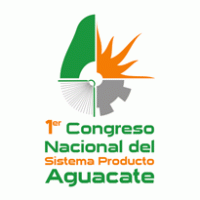 Primer Congreso Nacional Del Siste