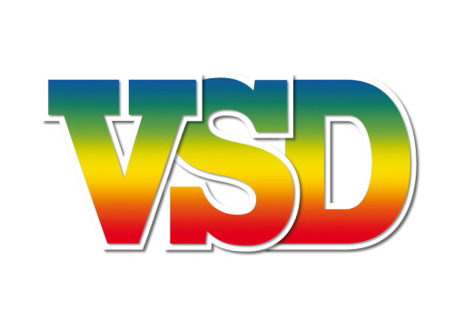 Vsd Magazine Logo