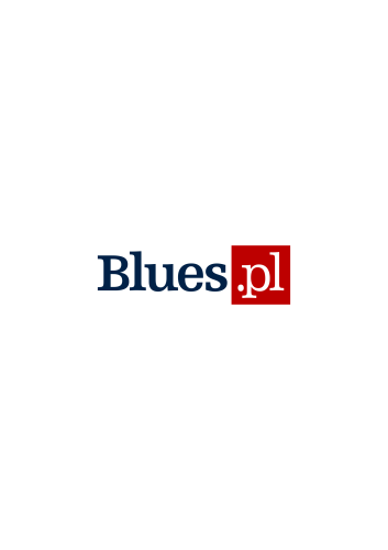 Bluespl Logo