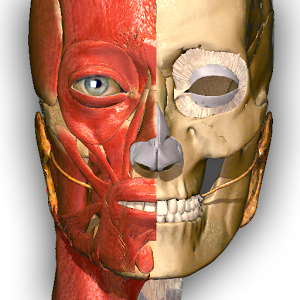 Anatomy-Learning-3D-Atlas-Logo