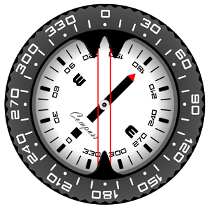 Compass PRO Logo