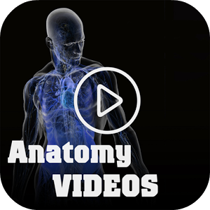  Medical-Anatomy-Videos-Logo.