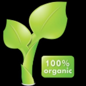  Natural Beauty Recipe Logo
