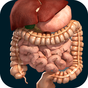 Organs-3D-Anatomy-Logo